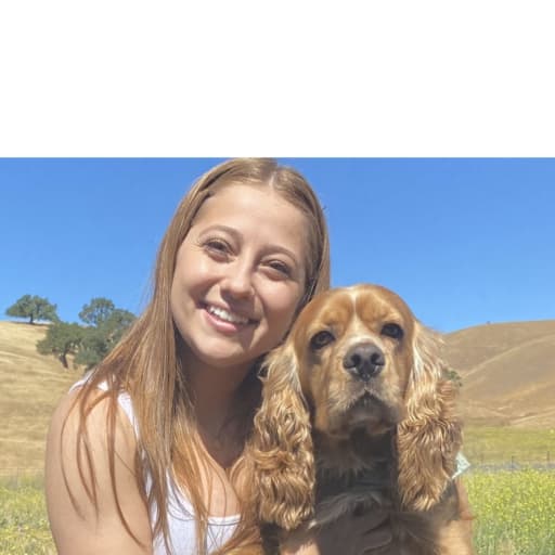 Profile image for pet sitters Avery & Daniel