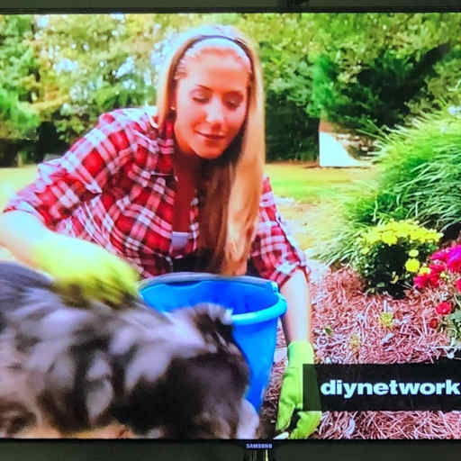 Profile image for pet sitter Amanda