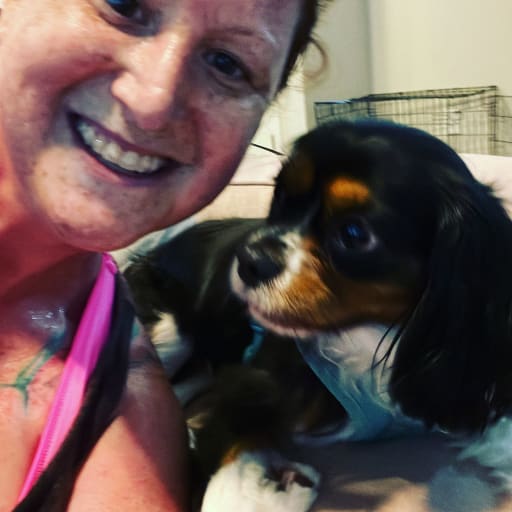 Profile image for pet sitter Amber