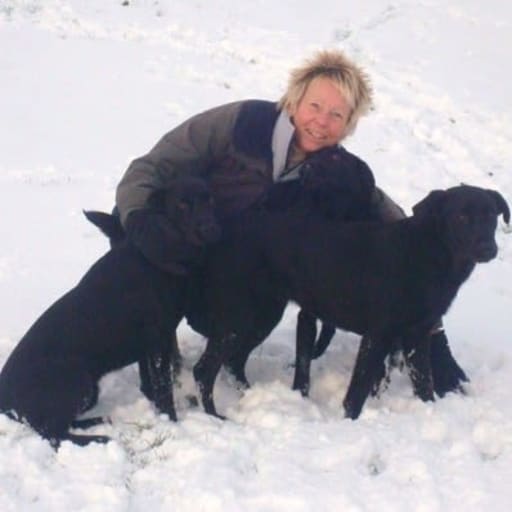 Profile image for pet sitters Fiona & David