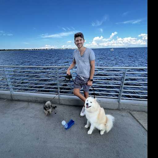 Profile image for pet sitter Ben