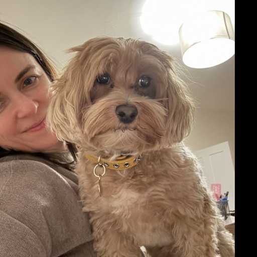 Profile image for pet sitters Maria & Aleks