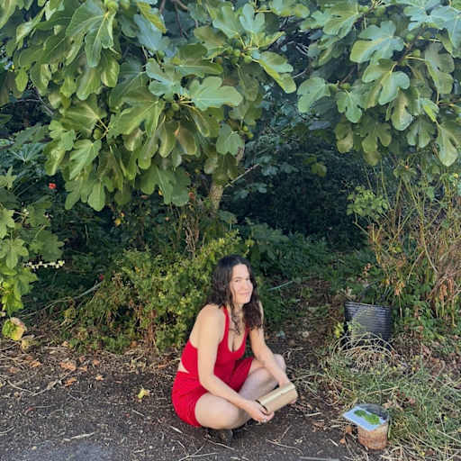 Profile image for pet sitter gili