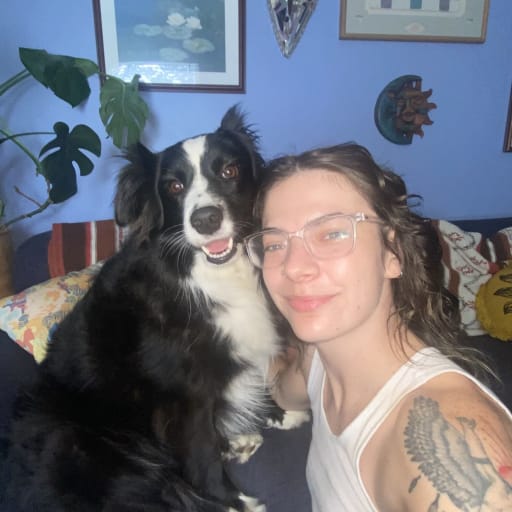 Profile image for pet sitter Sierra