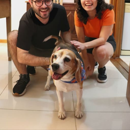 Profile image for pet sitters Fernanda & Tiago