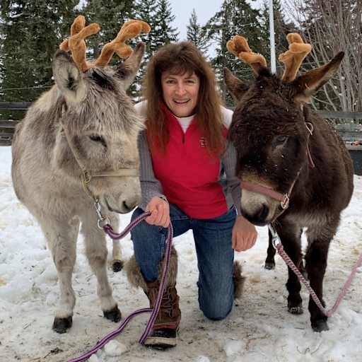 Profile image for pet sitter Ilona