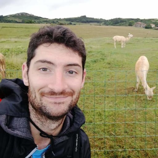 Profile image for pet sitter Stefano
