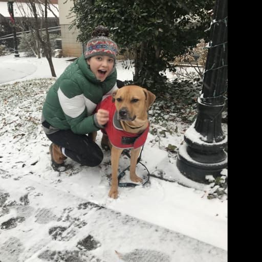 Profile image for pet sitter Hatley
