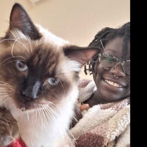 Profile image for pet sitter Bako