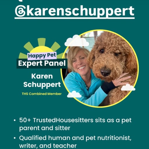 Profile image for pet sitter Karen