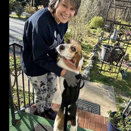 Profile image for pet sitter Sherri