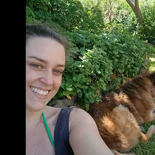 Profile image for pet sitter Felicity