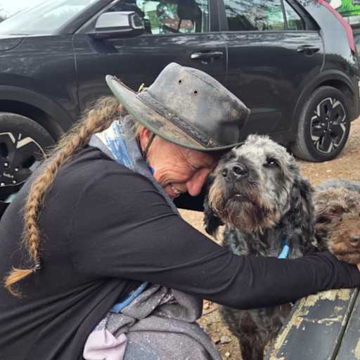 Profile image for pet sitter Debbie