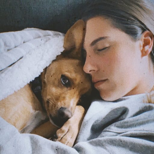 Profile image for pet sitter Alis