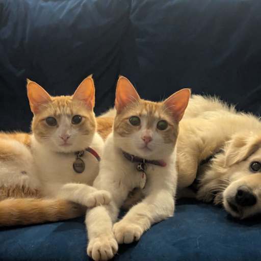 Profile image for pet sitters Kim & Keith