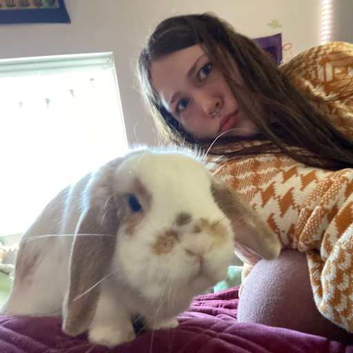 Profile image for pet sitter Rowan