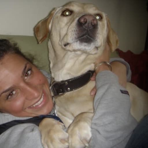 Profile image for pet sitter Danni