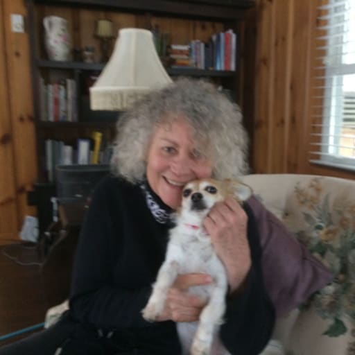 Profile image for pet sitter Marjorie