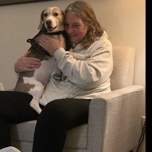 Profile image for pet sitter Lisa