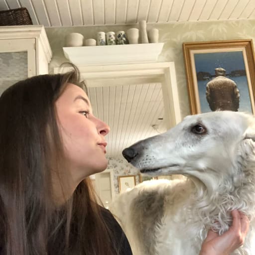 Profile image for pet sitter Mirva