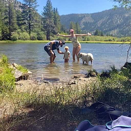 Profile image for pet sitters BRITTANY & Ryan