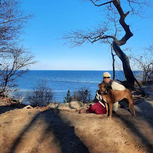 Profile image for pet sitter Patti