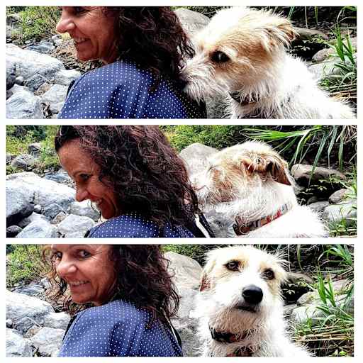 Profile image for pet sitter Felicitas