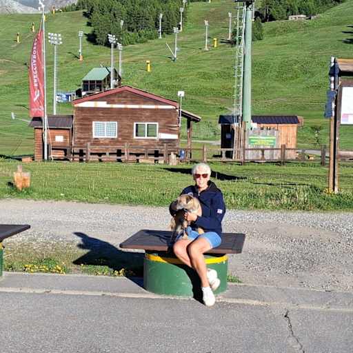 Profile image for pet sitters Cicely & David