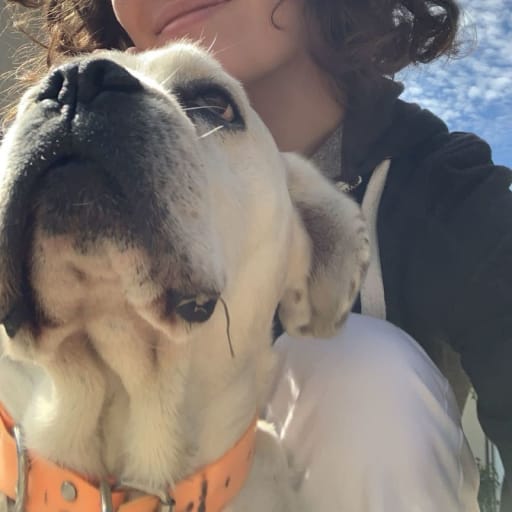 Profile image for pet sitter Charlotte