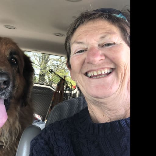 Profile image for pet sitter 23922