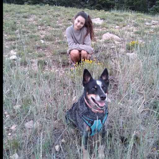 Profile image for pet sitter kayla