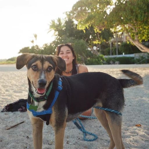 Profile image for pet sitter Eva