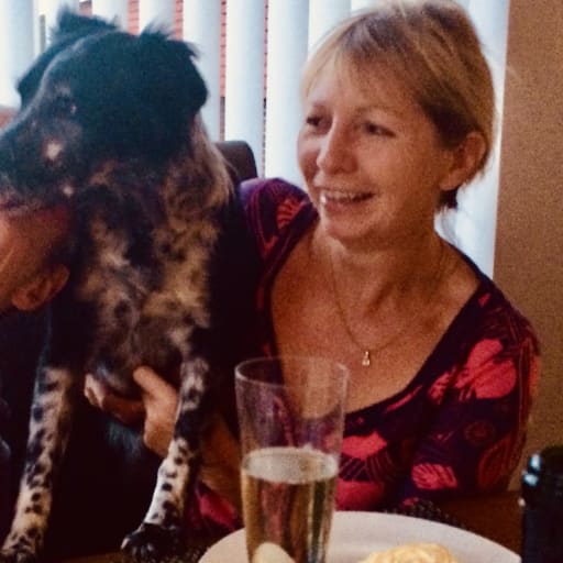 Profile image for pet sitters Michelle & Phil