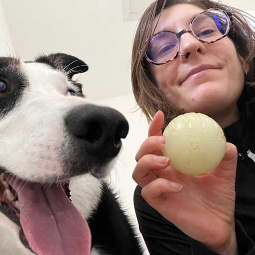 Profile image for pet sitter Chloé