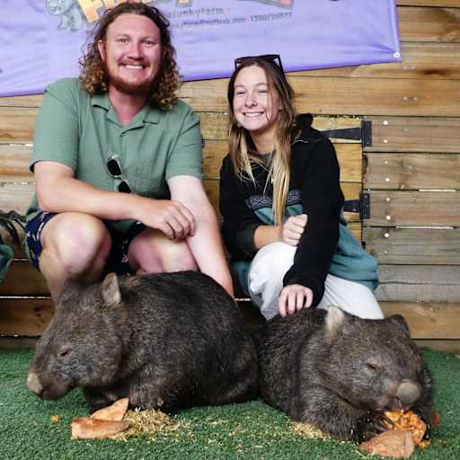 Profile image for pet sitters Catherine & Ben