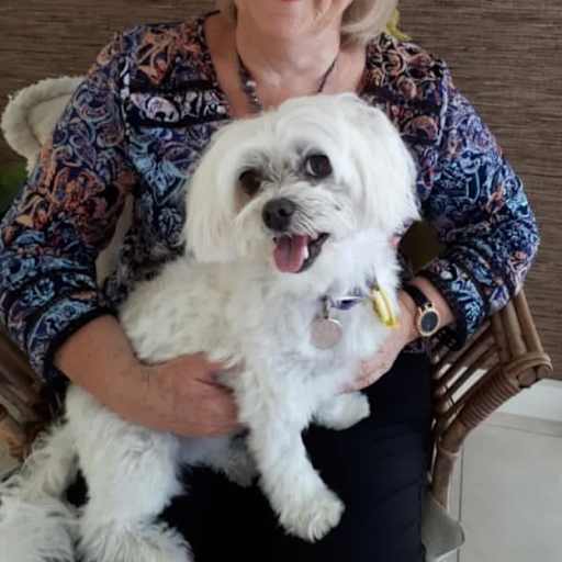Profile image for pet sitter Yvonne