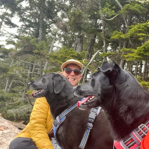 Profile image for pet sitter Saskia