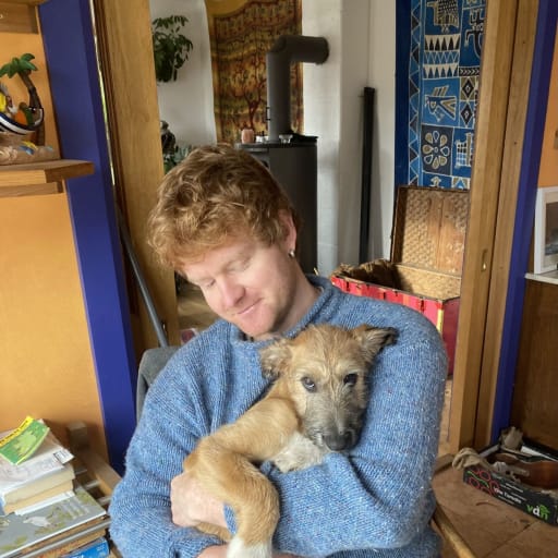 Profile image for pet sitter Rowan