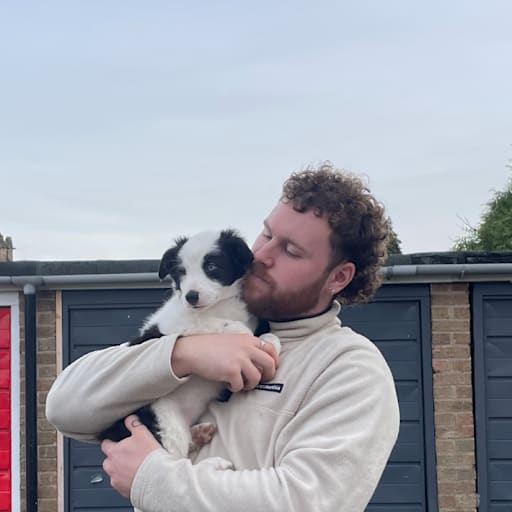 Profile image for pet sitters Conall & Sophie
