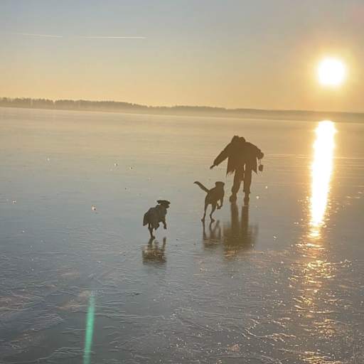 Profile image for pet sitter Matylda