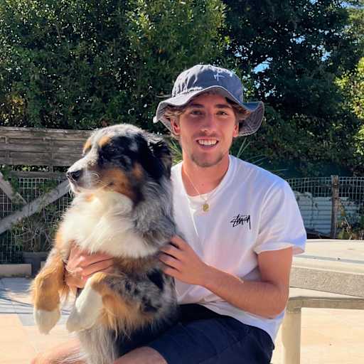 Profile image for pet sitter Enzo