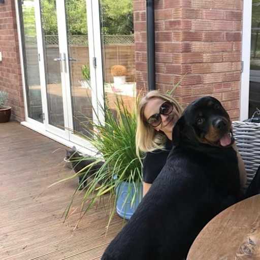 Profile image for pet sitter Lauren