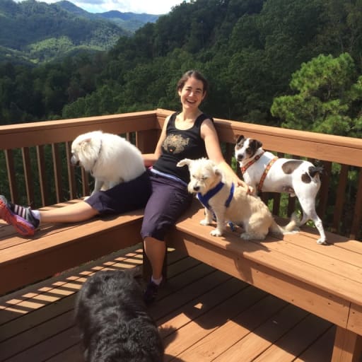 Profile image for pet sitter Devon