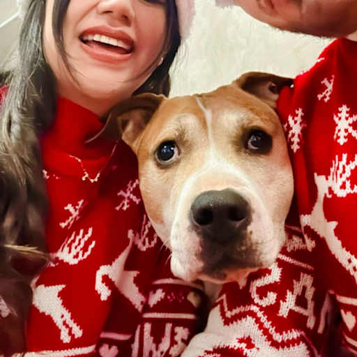 Profile image for pet sitters Mattia & Meredyt