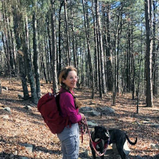 Profile image for pet sitter Lyn