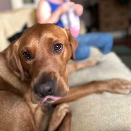 Profile image for pet sitters Mark & Maura