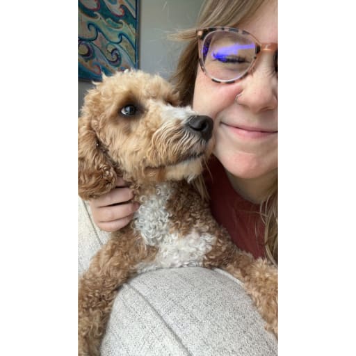 Profile image for pet sitter Sara