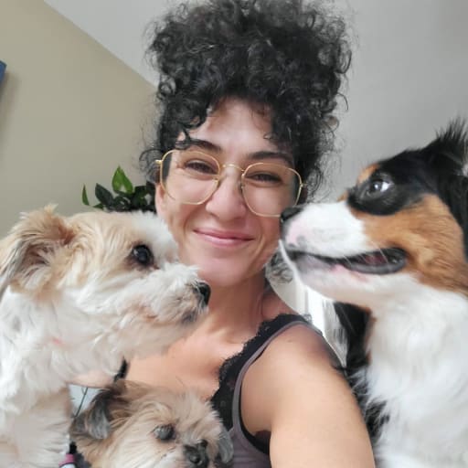 Profile image for pet sitter Liraz