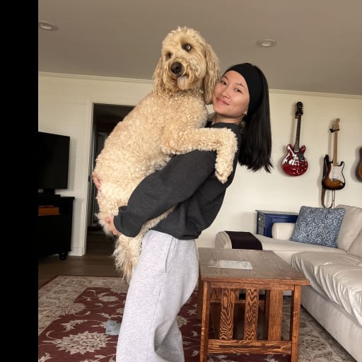 Profile image for pet sitter Rui