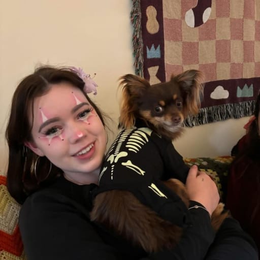 Profile image for pet sitter Jacinta